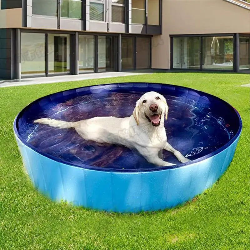 Portable Dogs Kiddie Pools